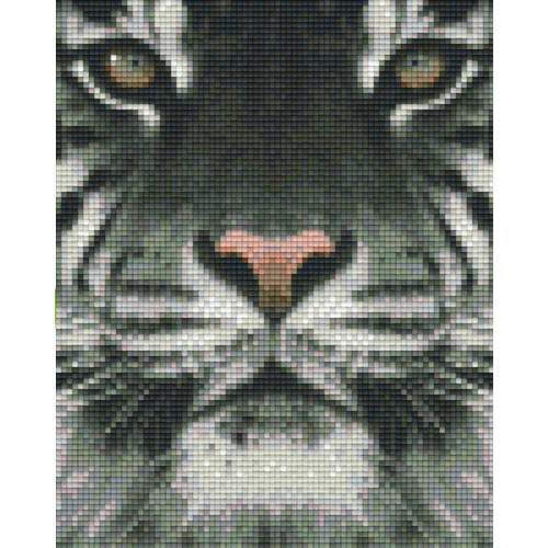Vorlage für Pixeln Tiger
