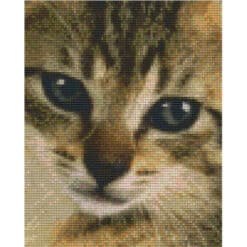 Pixel Vorlage Katze