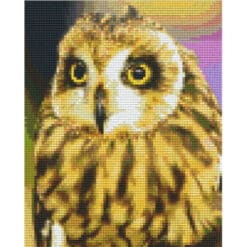 Pixel Vorlage Eule