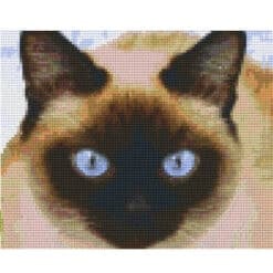 Pixel Vorlage Katze