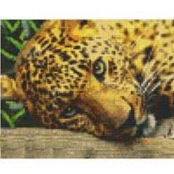 Pixelhobby Vorlage Puma