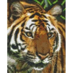 Pixelhobby Vorlage Tiger