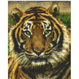 Pixelhobby Tiger Vorlage