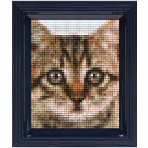 Pixelhobby Bild Katze