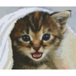 Pixelhobby Vorlage Katze
