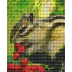 Pixelhobby Vorlage Eichhorn
