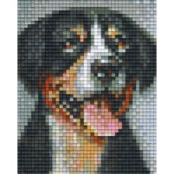 Pixelvorlage Sennenhund