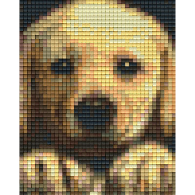 Pixelvorlage Goldenretriever