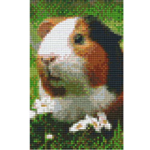Gratis Pixel Vorlage Meerschwein