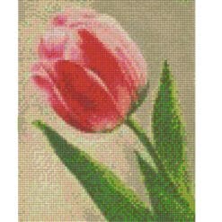 Pixelhobby Tulpen