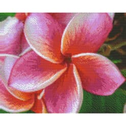 Pixelhobby Bild Blume 9 Bassiplatten