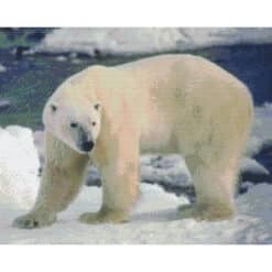 Pixel Hobby Bild Eisbär 16 Platten