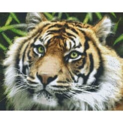 Pixel Hobby Bild Tiger 16 Platten