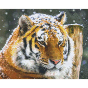 Pixelhobby Bild Tiger 16 Platten