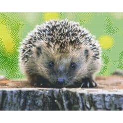 Pixel Hobby Bild Igel 16 Platten