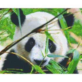 Pixelhobby Bild Panda 16 Platten