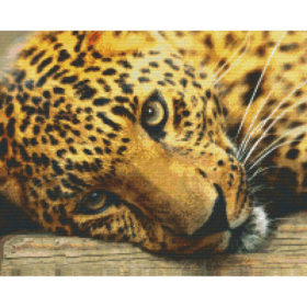 Pixel Hobby Bild Leopard 16 Platten