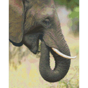 Pixel Hobby Bild Elefant 16 Platten
