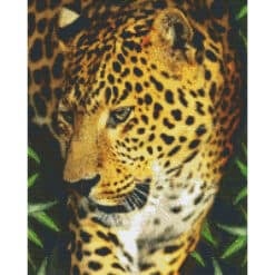 Pixelhobby Bild