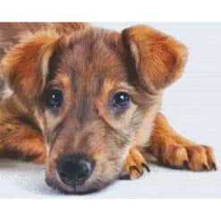Pixel Hobby Bild Hund 16 Platten