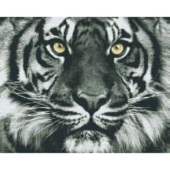 Pixel Hobby Bild Tiger 16 Platten