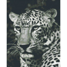 Pixel Hobby Bild Leopard 16 Platten