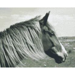 Pixelhobby Bild