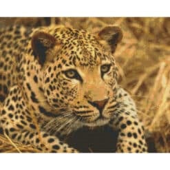 Pixel Hobby Bild Leopard 16 Platten