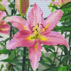 Pixelhobby 820068