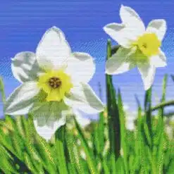 Pixelhobby 820069