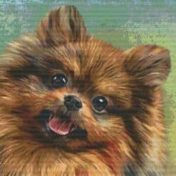 Pixelhobby 820074
