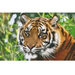 Pixelhobby 820079