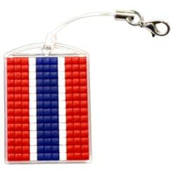 SCRJ Fan Bag Flagge